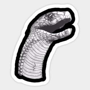 Poisonous Snake Sticker